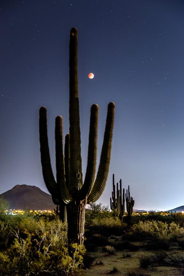 Blood Moon